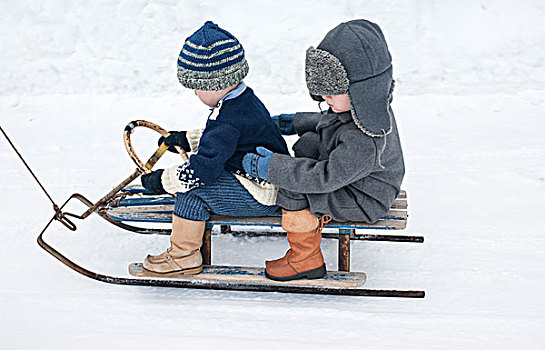 两个,小,男孩,雪橇