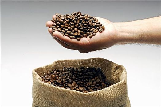 咖啡豆,手,黄麻袋