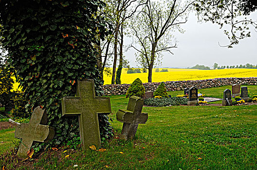 三个,老,墓地,树,乡村,教堂,梅克伦堡前波莫瑞州,德国,欧洲