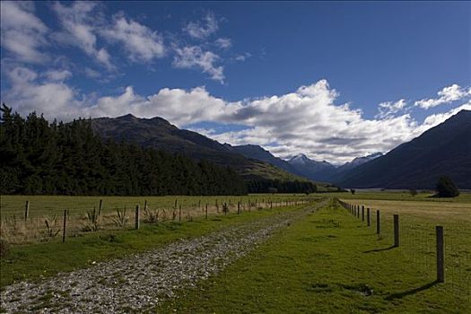 农业,草地,动作,南部地区,南岛,新西兰