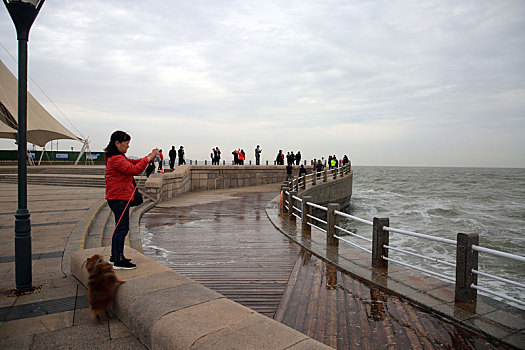 山东省日照市,大风带来滔天巨浪,游客淡定自如欣赏惊涛拍岸奇观