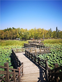 野鸭湖桥