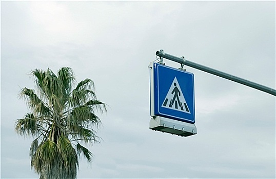 信号,棕榈树