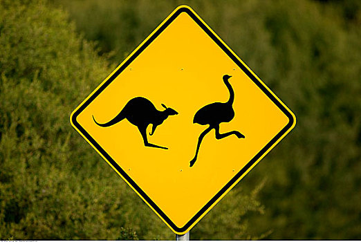威尔逊-普勒蒙特利国家公园,维多利亚,澳大利亚