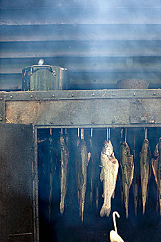 鱼肉,烟,房子