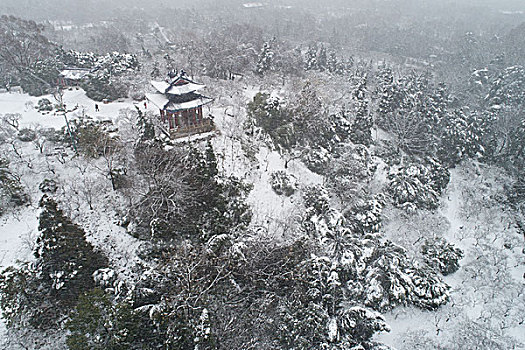 南京梅花山雪景