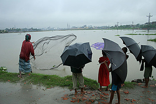 渔民,鱼,雨,孩子,看,孟加拉,七月,2005年