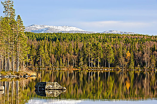 瑞典,深,湖,围绕,北方针叶林,山,背景