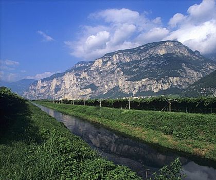 葡萄种植,特兰迪诺,意大利