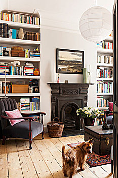 书架,起居室,传统,壁炉,老,学校,灰色,扶手椅