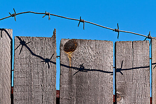 木篱,刺铁丝网