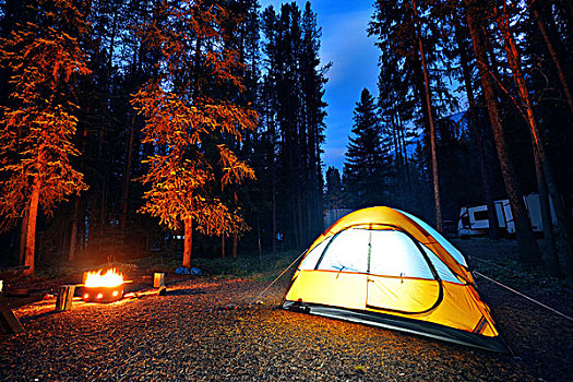 露营,树林,帐蓬,亮光,篝火,班芙国家公园