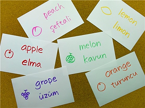 语言文字,学习卡片,土耳其