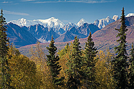 景色,阿拉斯加山脉,山脊,小路,德纳里峰,州立公园,阿拉斯加,秋天