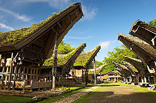 乡村,传统,房子,靠近,苏拉威西岛,印度尼西亚,东南亚