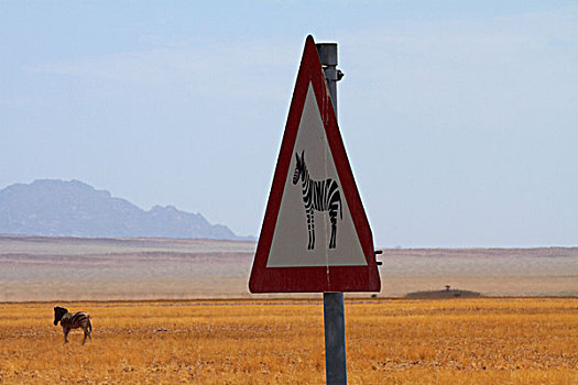 斑马,警告标识,纳米布沙漠,纳米比亚,非洲