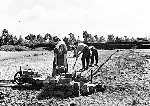 农业,草皮,切,工人,20世纪30年代,精准,位置,未知,德国,欧洲