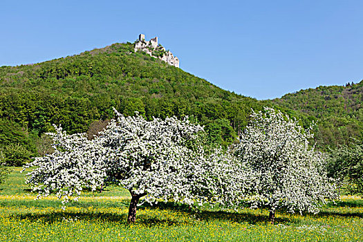 城堡,遗址,高处,山谷,巴登符腾堡,德国,欧洲