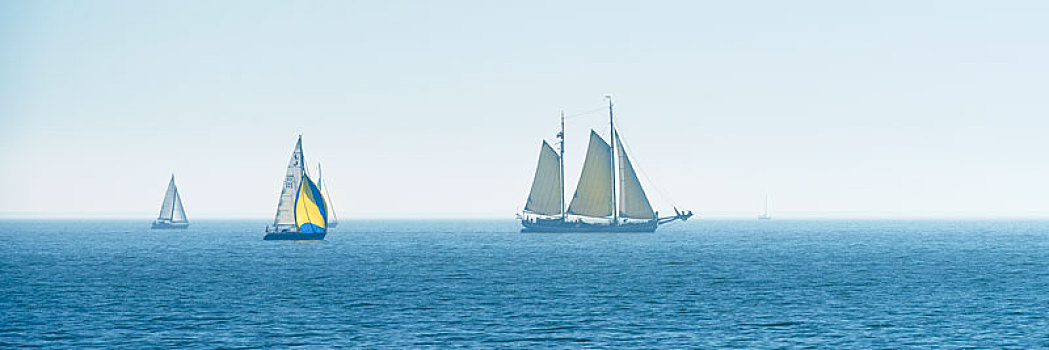 帆船,正面,北荷兰省,荷兰