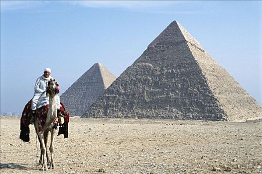 骆驼,骑乘,正面,吉萨金字塔,开罗,埃及