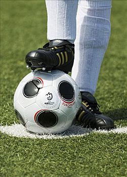 脚,德国,国家,球员,比赛,球,欧锦赛,2008年,欧元,杯子,仿制