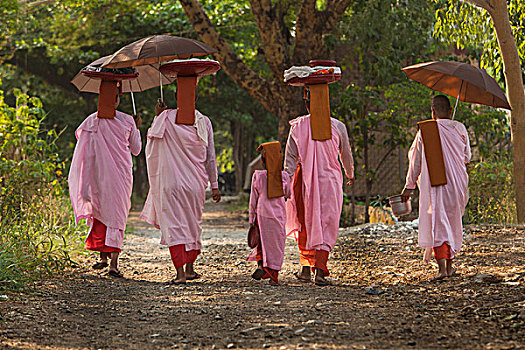 缅甸,曼德勒,佛教,女僧侣,走,道路,画廊