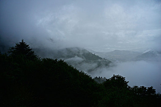 雨雾鲁朗林海