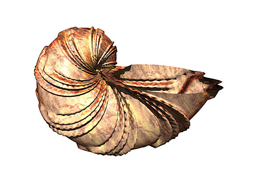 蜗牛壳,隔绝
