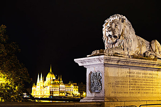 狮子,雕塑,链索桥,匈牙利,国会大厦,背景,布达佩斯