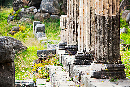 遗址,柱子,特尔斐城,希腊