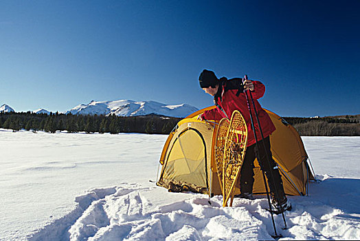 向上,冬天,露营,雪鞋,近东,冰河,蒙大拿