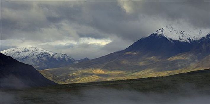 高山,苔原,雾,积雨云,德纳里峰国家公园,阿拉斯加,美国,北美