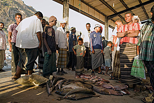 渔民,检查,投标,白天,抓住,保护区,也门