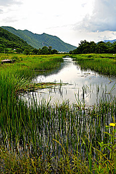 大九湖湖光山色