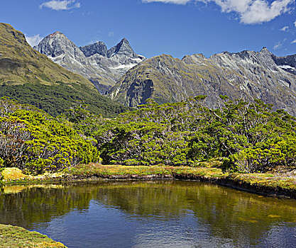 钥匙,顶峰,峡湾国家公园,南部地区,南岛,新西兰