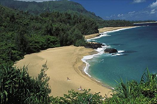 夏威夷,考艾岛,北岸,海滩,俯视,绿色植物,前景
