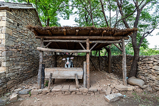 山东省临沂市沂南县沂蒙红色影视基地,斗牛拍摄主场景