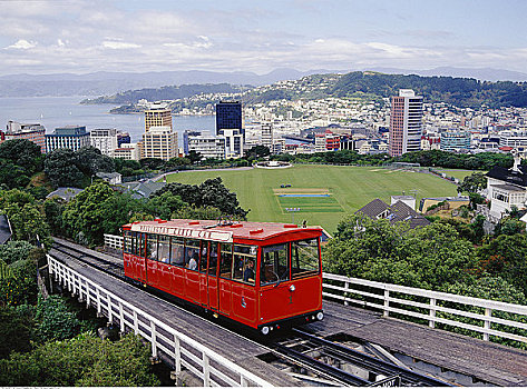 惠灵顿,有轨电车,新西兰