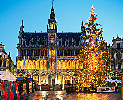 圣诞树,装饰,光亮,大广场,布鲁塞尔,比利时