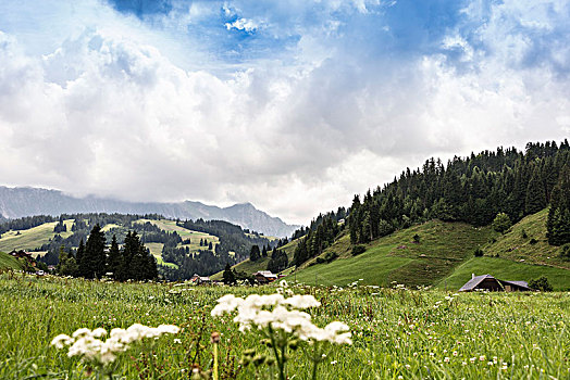风景,生物保护区,entlebuch,瑞士