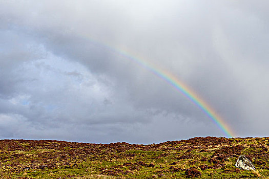 彩虹,上方,高地,斯凯岛,苏格兰,英国