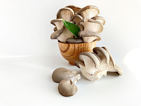 香菇,蘑菇