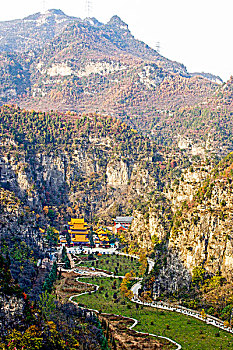 少林寺,猿拳,发源地,河南省焦作市修武县净影寺