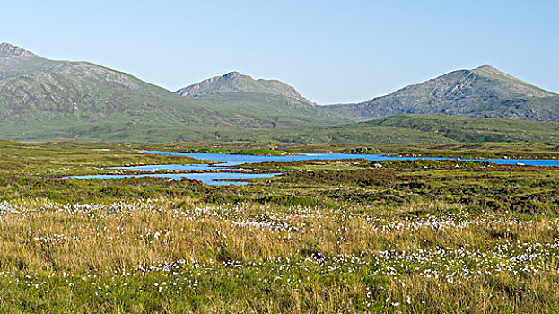 风景,岛屿,南,湖,保护区,欧洲,苏格兰,大幅,尺寸