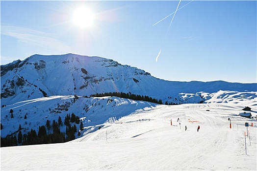 高山滑雪,雪,斜坡,晴天