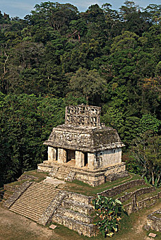 俯拍,古遗址,庙宇,太阳神殿,帕伦克,玛雅,恰帕斯,墨西哥