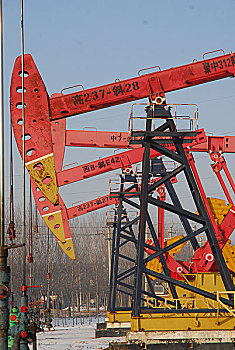 中国石油大庆油田采油抽油机