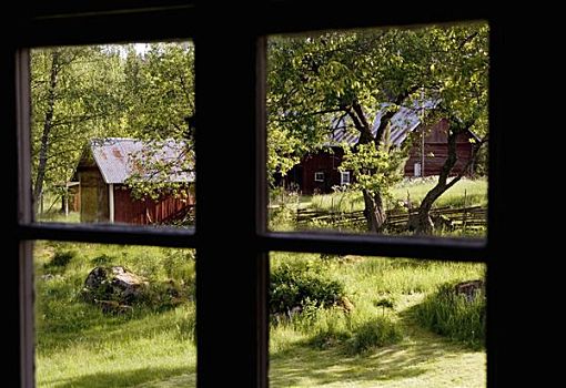 农场,乡村,风景,窗