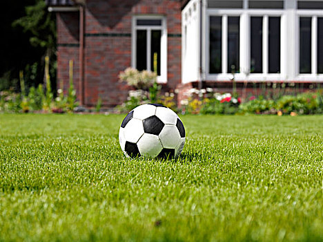 球,草皮,游戏,草坪,运动,花园