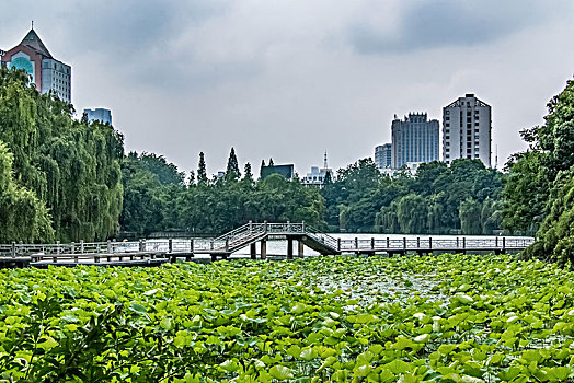 安徽省合肥市包河公园环境景观